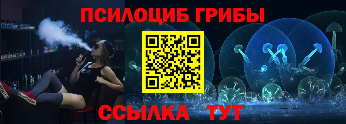 Псилоцибиновые грибы Cubensis Вязники